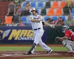 Los Tigres de Quintana Roo apostarán al talento de los colombianos