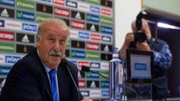 El selecciondor español Vicente del Bosque.
