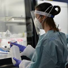 Hidroxicloroquina e Ivermectina contra el coronavirus: ¿qué dicen Minsa y la OMS?