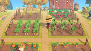 Cómo conseguir trigo para cultivar y cocinar en Animal Crossing New Horizons