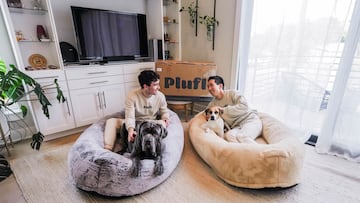 Struggling to socialize your dog? Experts share 10 proven tips—from neutral ground to treat rewards—to help your pup build confidence with others.