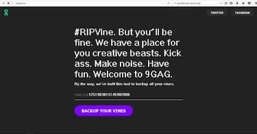 Crea una copia de tus Vines antes de que desaparezcan