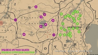 Todos los objetos exóticos de Red Dead Redemption 2
