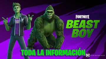 Fortnite: el skin Beast Boy de los Teen Titans llegará al juego