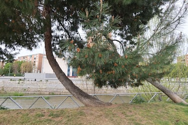 Análisis de la cámara Canon PowerShot V10, una gran herramienta centrada en el vlogging