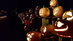 Las calabazas de Halloween, muy relacionadas con el mito de 'Jack-o'-lantern'.