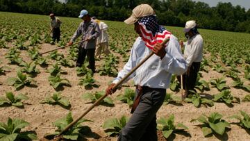 Trump's move that will affect hundreds of thousands of migrants