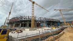 Limak, una historia de sombras