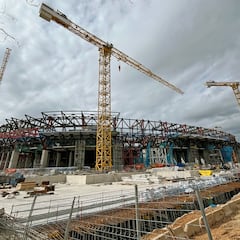 Limak, una historia de sombras