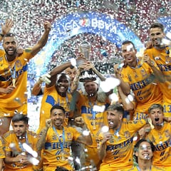 Tigres deja atrás a Pumas en campeonatos de Liga MX