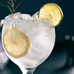 La malaria: el enemigo invisible que ha decidido más guerras que los generales… hasta que se inventó el gin-tonic