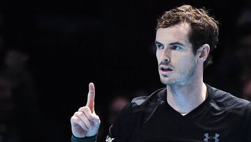 Murray tipped for knighthood after incredible rise to No 1