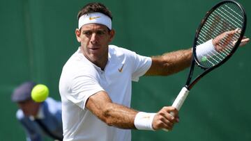 Del Potro volverá a jugar el Abierto de China en octubre