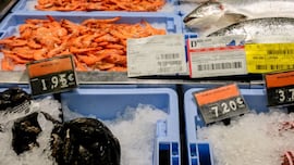 Ni bombones ni jamón: estos son los productos que más han subido en la cesta de Navidad