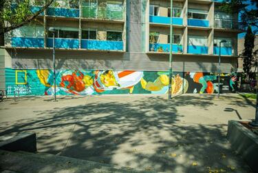 Natgeo llena la CDMX con murales ecológicos contra el cambio climático