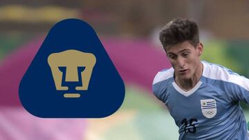 Facundo Waller sería nuevo refuerzo de los Pumas