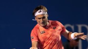 David Ferrer, ante el holandés Igor Sijsling.