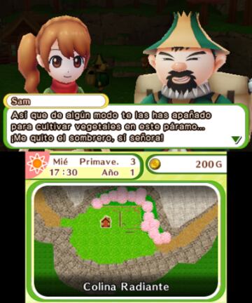 Captura de pantalla - Harvest Moon: El Pueblo del Árbol Celeste (3DS)