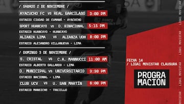 Torneo Clausura 2019: horarios, partidos y fixture de la fecha 14