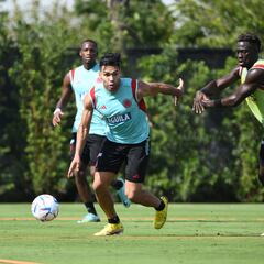 El 9 en Selección genera dudas a un mes de la fecha FIFA