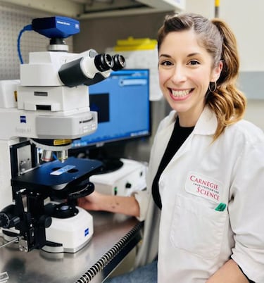 Descubren un microbio clave en la evoluci¨®n de la vida