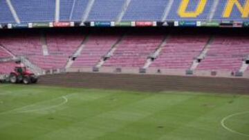El Barça comienza a plantar el nuevo césped del Camp Nou