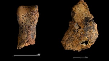 Hallazgo histórico en Atapuerca