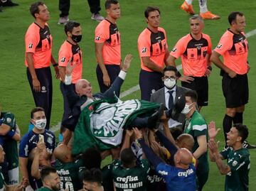 El Palmeiras, campe¨®n de la Copa Libertadores.