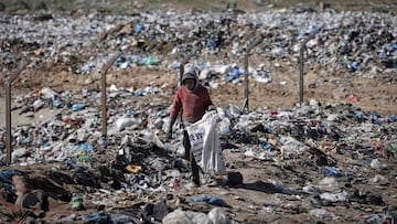 Scientists say that the levels of chemical pollution found in water and air are threatening not only human health but the ecosystems of threatened species.