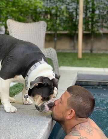 El portero de Real Salt Lake tiene un bulldog con una gran habilidad con el esférico