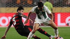 Un ‘cortado’ por Gareca festeja en el Mundial de Clubes