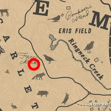 Todos los tesoros necesarios para el 100% de Red Dead Redemption 2