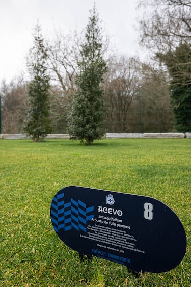 Nueva ciudad deportiva del Deportivo de la Coruña.