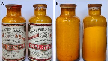 Descubren en un sótano bacterias de hace más de 130 años y no pueden creer lo que ven: “Abrir una reliquia microbiológica”