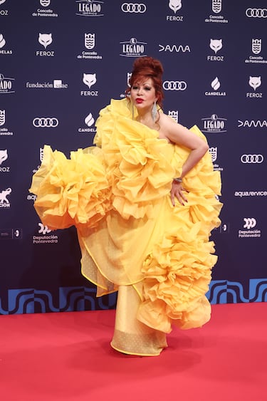 La cantante Yurena posa en la alfombra roja de los Premios Feroz 2026, en el Pazo da Cultura, en Pontevedra, Galicia. 