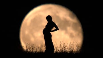 Científicos afirman que todos los seres humanos proceden de una única mujer, ‘Eva mitocondrial’, el ancestro femenino clave en la evolución