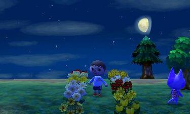 Animal Crossing: New Leaf