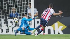 Chivas vs Toronto FC, en imágenes