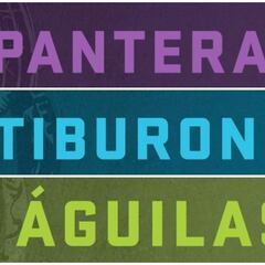La Isla Desafío Extremo: ¿Quiénes son los integrantes de cada equipo? Team Águilas, Panteras y Tiburones