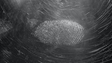 Curso en l¨ªnea de psicolog¨ªa forense y criminolog¨ªa.