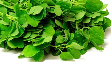 No es muy conocida: la planta mexicana que es clave para el calcio y la presión arterial