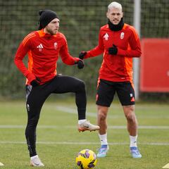 Sin Tsitaishvili, dudas