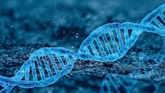 Human evolution rewritten: A lost human population may have supercharged our brains-and given us 20% of our DNA