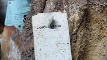 Francia habla del “almacén de los horrores” al descubrir la carne ‘fresca’ distribuida a restaurantes en España