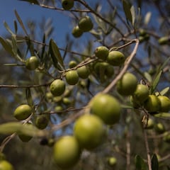 La lista de alimentos que tardan varios años en caducar y que podemos conservar en la despensa