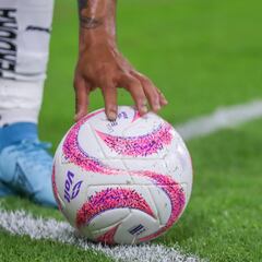 Cómo y dónde ver los partidos de la jornada 15 de la Liga MX, Apertura 2023: Horario y TV