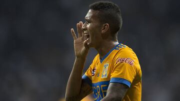 Francisco Meza, Tigres 