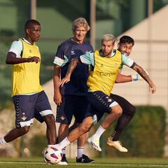 Las pruebas de Pellegrini