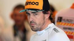 Fernando Alonso. 