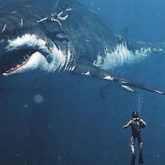 Dos buceadores con un megalodón: la foto viral que nunca existió